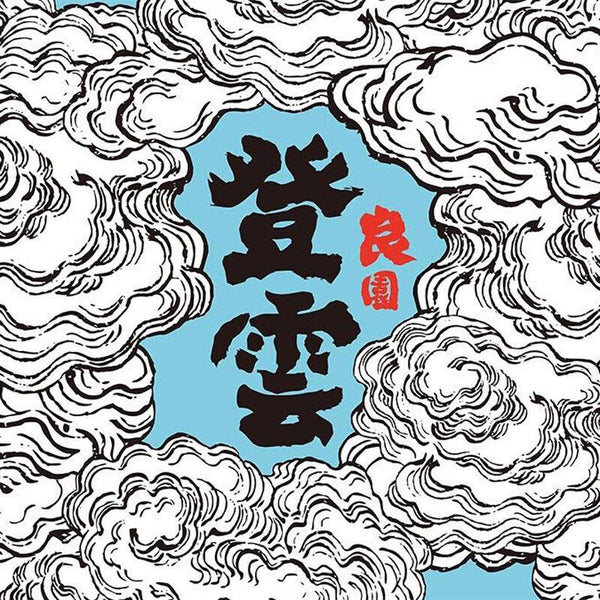 HelloYoung Haiwan Chinese Puer Tea Liang Yuan "Deng Yun" Old Tree Raw Puerh Pu'er 400g