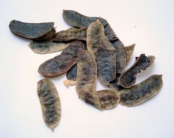 Senna Laxative Senna Leaves Organic Powder (Senna Alexandrina) Healthy tea
