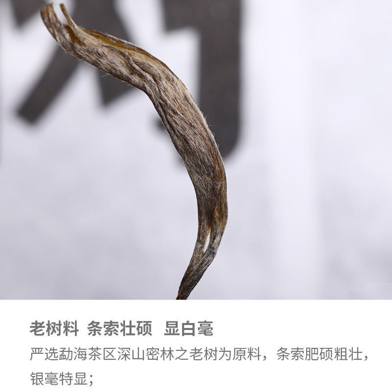 Remote Mountain Ancient Tree Haiwan Old Comrade Batch 191 Raw Puer Tea 500g