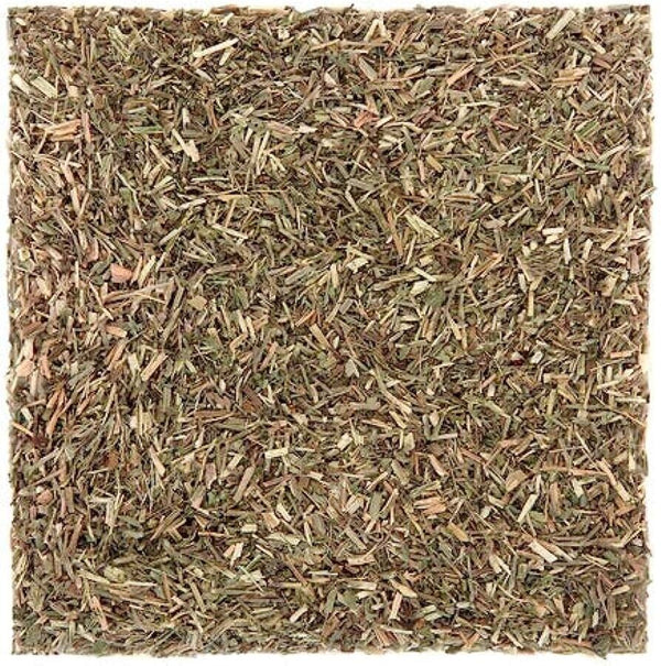 Blaues Eisenkraut Kraut Bio Beruhigend Reines Nervengift c/s (Verbena Hastata)