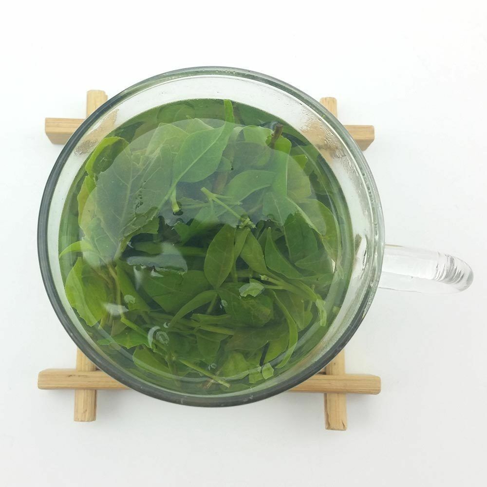 Hainan Herbal Bitter Tea Natural Small Leaf Kuding Tea Personal Health Care