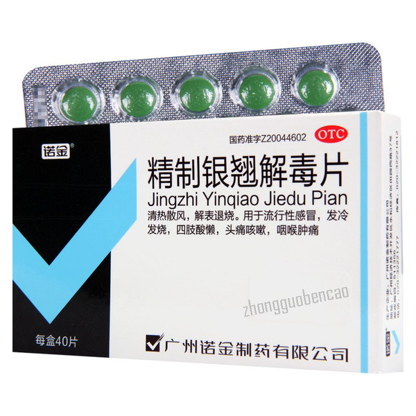 诺金精制银翘解毒片 Nuojin Jingzhi Yinqiao Jiedu Pian