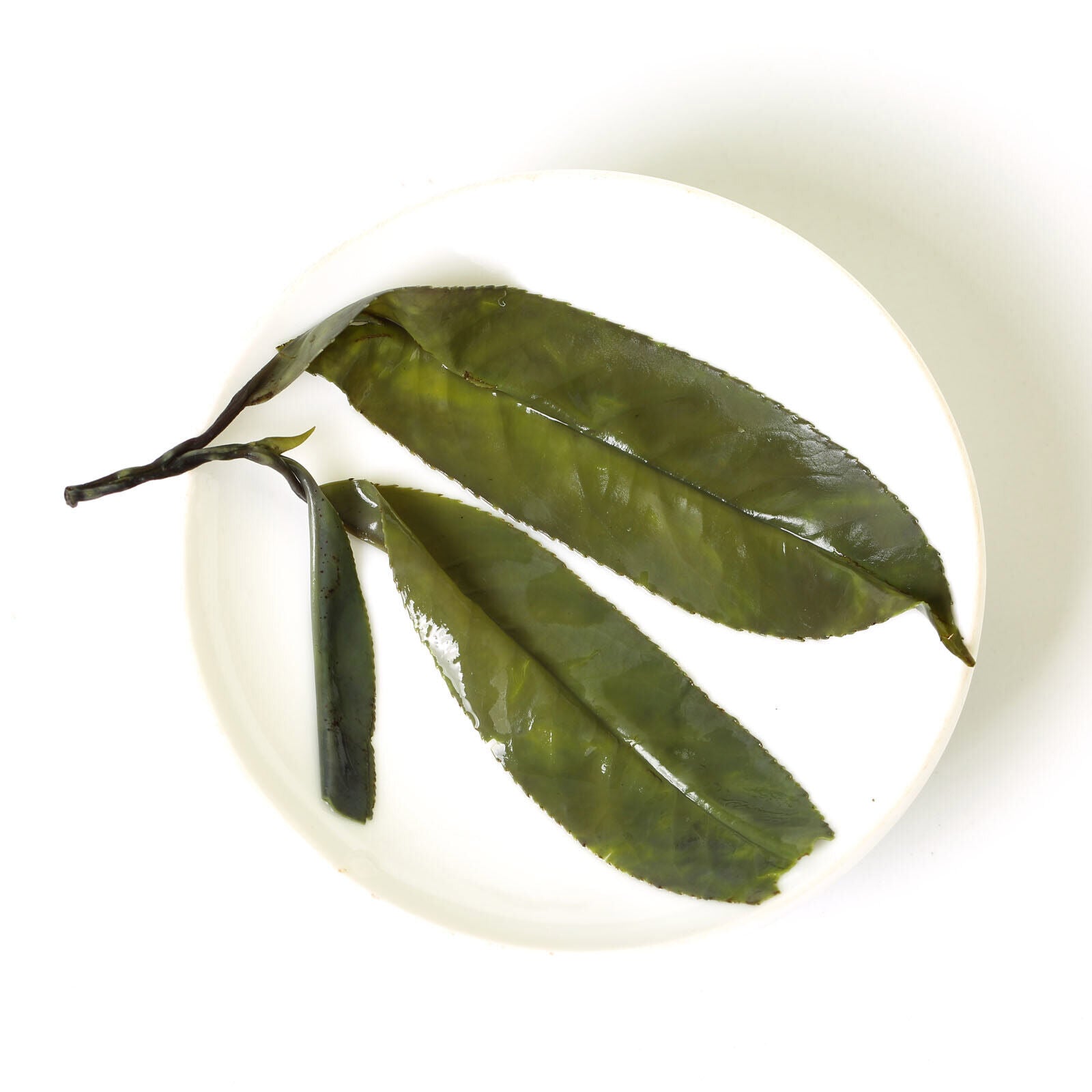 HelloYoung HELLOYOUNG 250g Premium Spike Kuding Bitter Herbal Green Tea Chinese Large-leaf