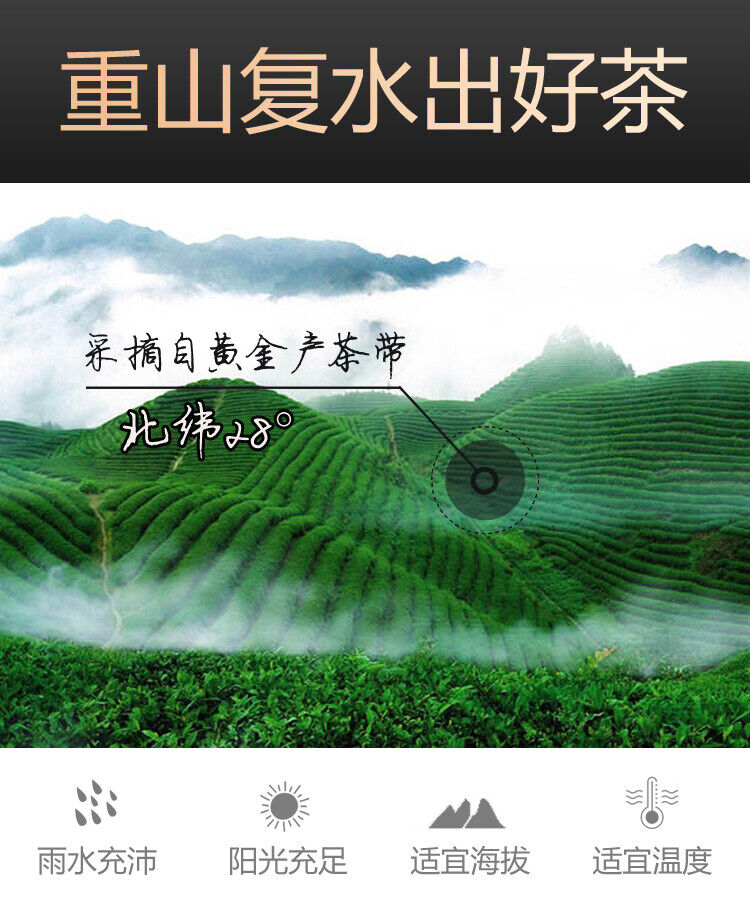 240g Hu Nan Baishaxi Instant Assorted Black Tea Brick Anhua Dark Tea Fu Cha
