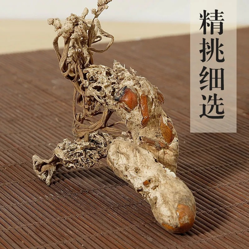 HelloYoung Big Cordyceps Sinensis 大虫草 Golden Cicada Flower / Isaria cicadae Miq / 金蝉花100g Main image