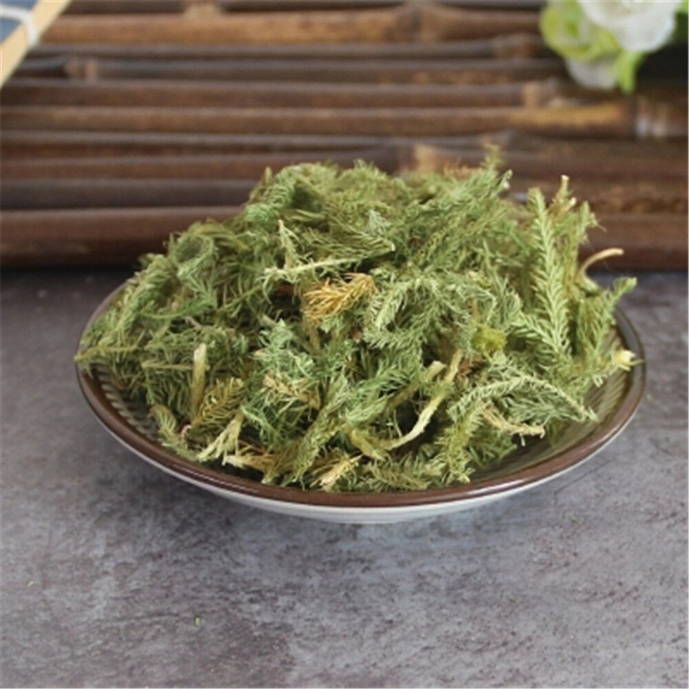HelloYoung Chinese Herbs 100% Natural Shen Jin Cao Japanese Clubmoss Medicinal250g Secondary image