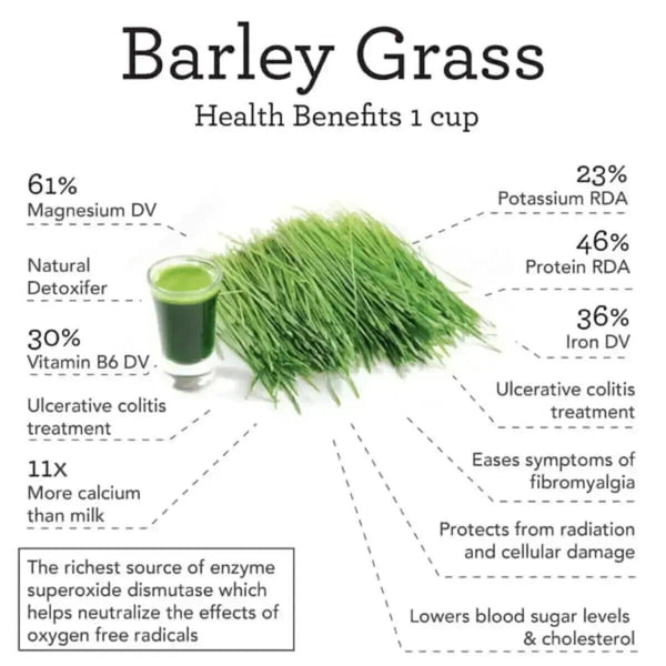 NEW HELLOYOUNG  Barley grass powder 100% Pure & Organic
