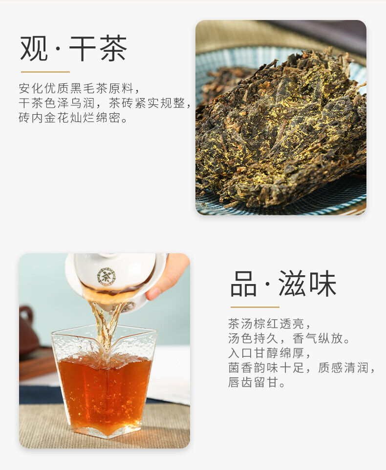 HelloYoung CHINATEA Brand MM Hunan Anhua Golden Flowers Fucha Dark Tea 360g Brick Fu Zhuan