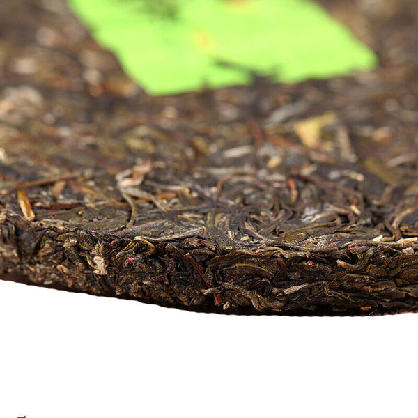 HelloYoung Bang Long Hua Zhu Liang Zi Spring Xiaguan XY Tie Bing Pu-erh Raw Tea 357g