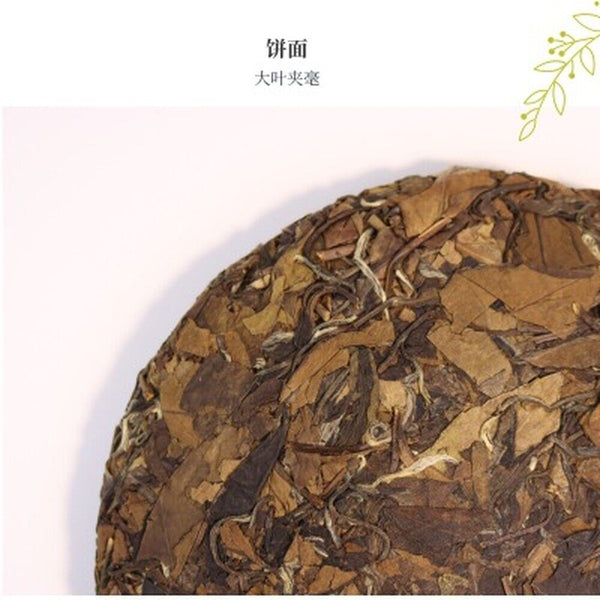 Fuding Shoumei Bai Mu Dan White Tea Old Ecology White Peony Craft Tea Cake 300g