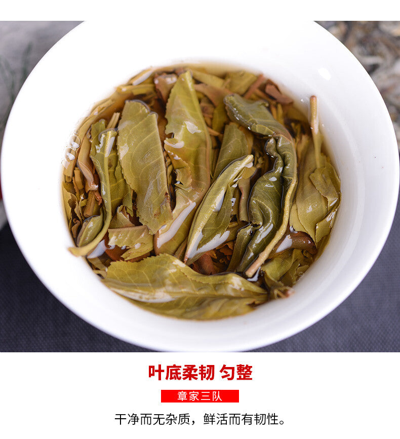 Mountain Aged Tree 500g 2021 Haiwan Zhang Jia San Dui Puer Raw Tea Bulang Famous