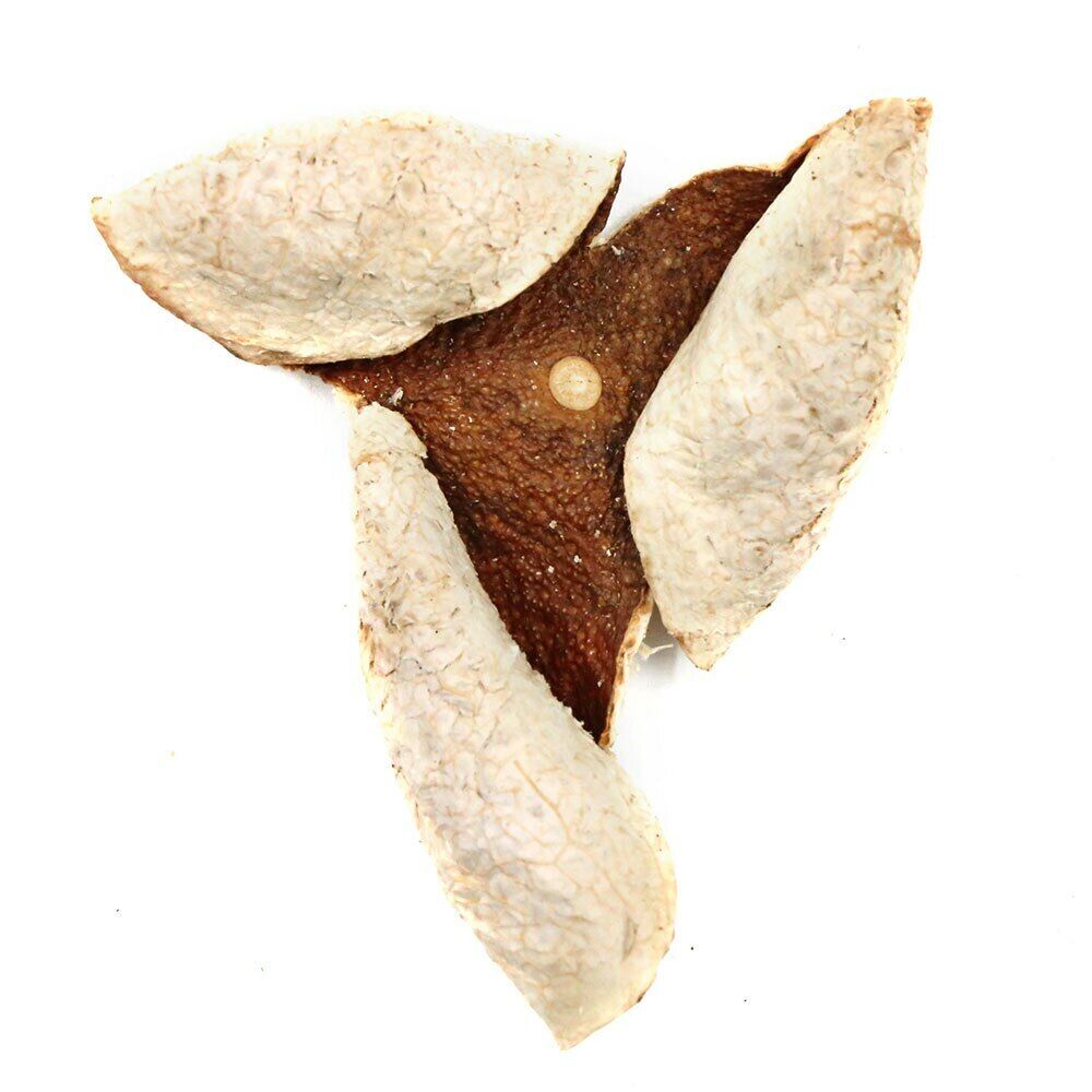 HelloYoung XinHui "Chen Pi" TianMa Producing Area Half Red Dried Tangerine Peel 50g Secondary image