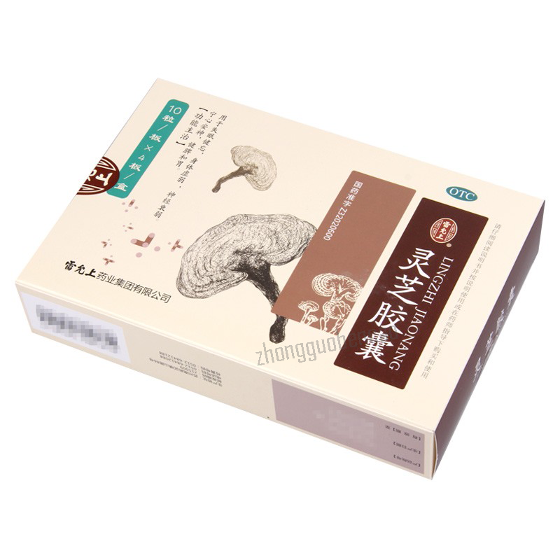 Leiyunshang Leizhi Jiaonang 雷允上灵芝胶囊 Secondary image