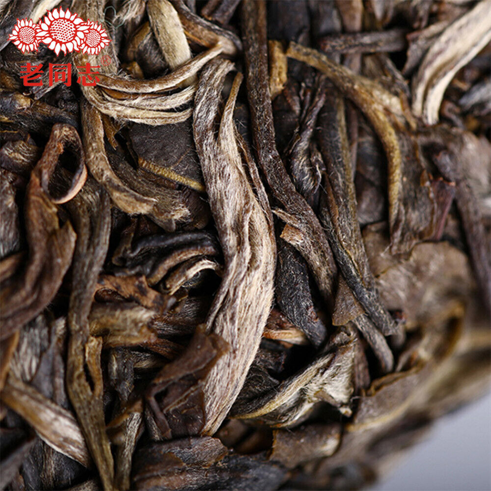 HelloYoung Haiwan Sheng Puer Tea Chinese Batch 191 Shen Shan Lao Shu Raw Puer Tea 500g