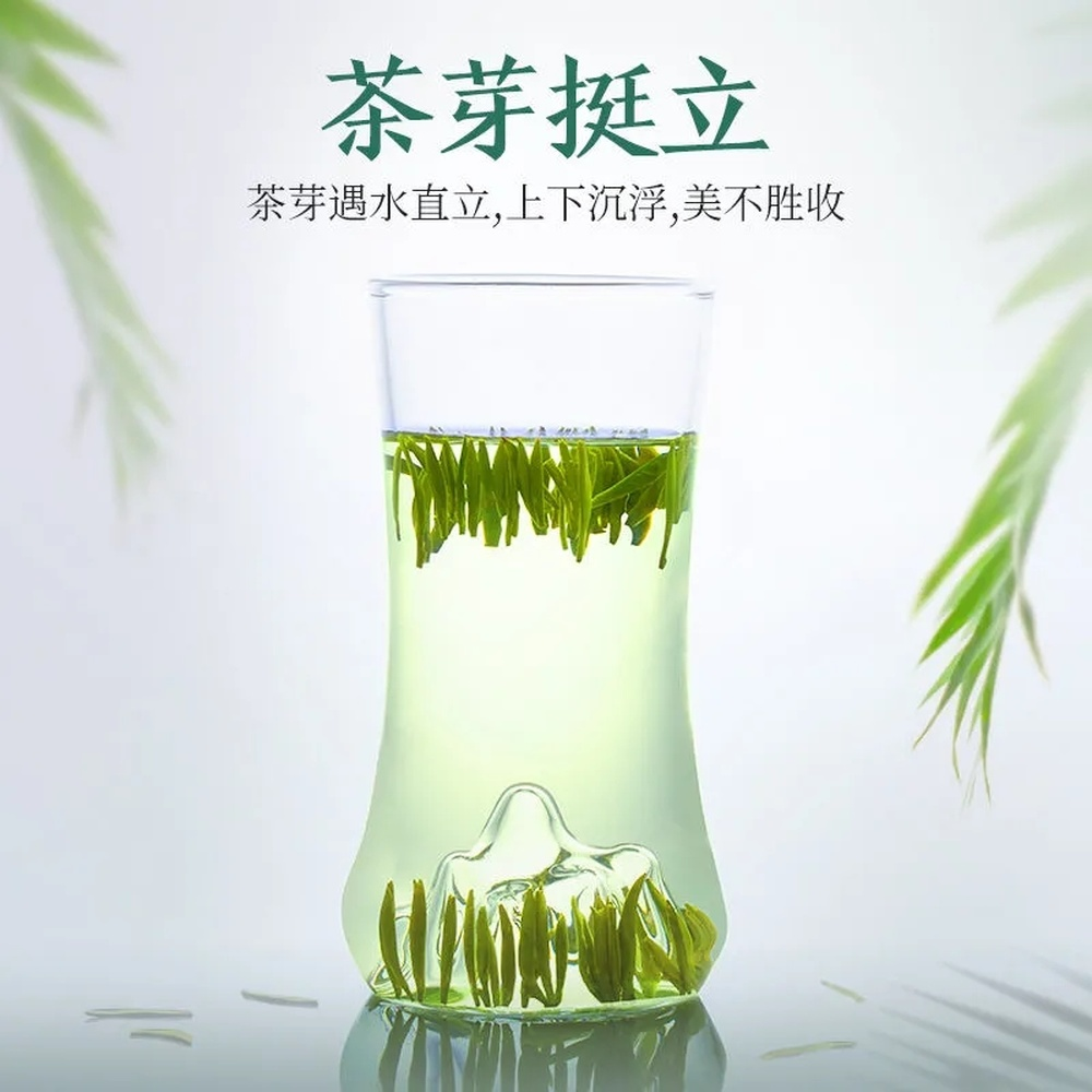 HelloYoung 50g Organic Jin Tan Que She Hand Picked Sparrow Tongue China Green Tea gift box