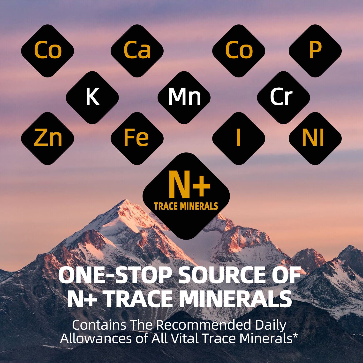 Himalayan Pure 100% Shilajit Soft Resin 80g Organic Extremely Potent Fulvic Acid