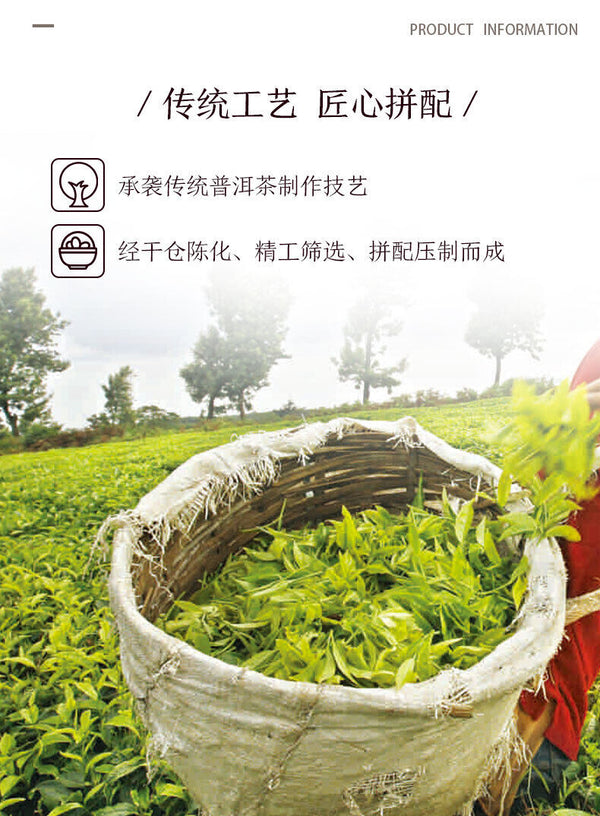 HelloYoung Old Tree Chunqiu San Hao Raw Pu-erh Sheng Cha 357g Zhongcha Pu'er Puer Tea