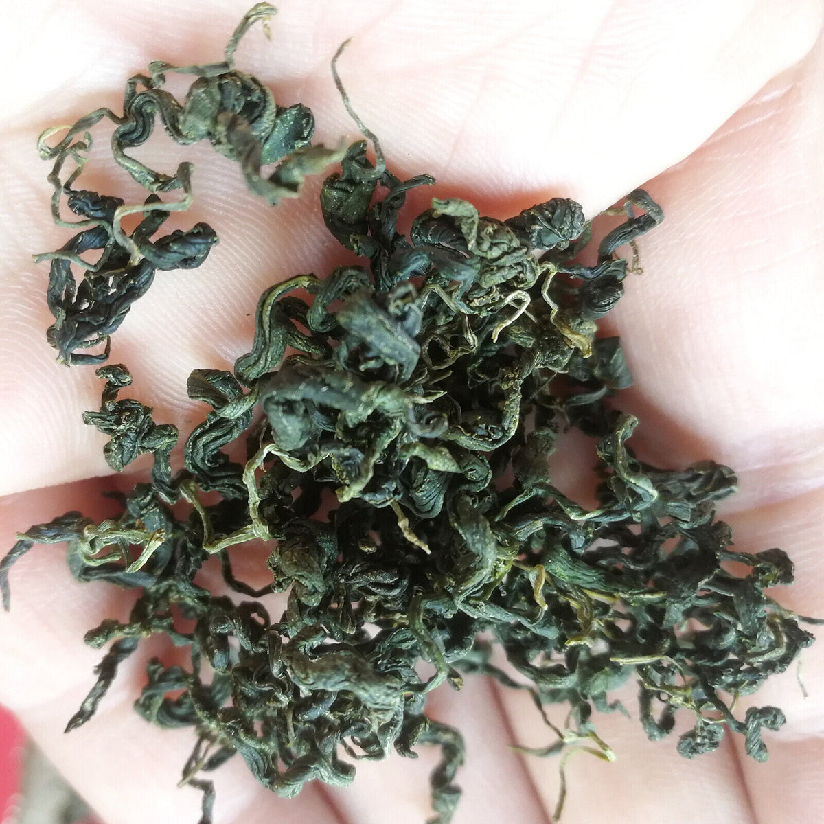 HelloYoung Natural Gynostemma Pentaphyllum Loose Leaf Herbs Tea Ecology Jiaogulan Tea 250g