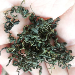 HelloYoung Natural Gynostemma Pentaphyllum Loose Leaf Herbs Tea Ecology Jiaogulan Tea 250g