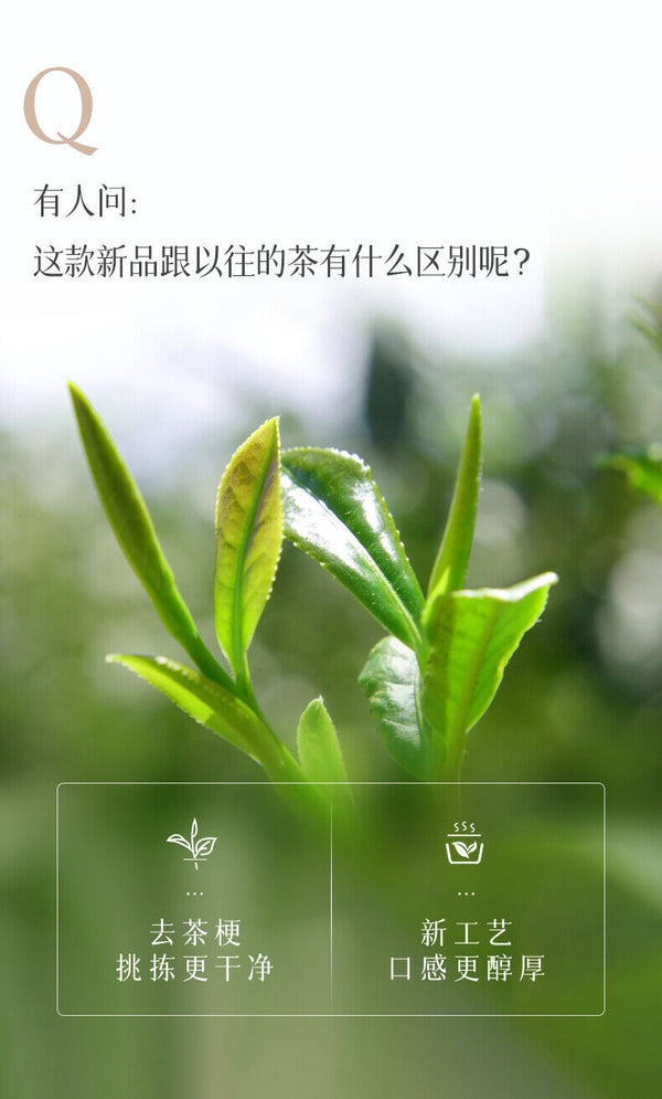 HelloYoung Light Fragrance Type Yunnan Oolong Tea Jibian High Mountain Tea 250g Tin 2100m