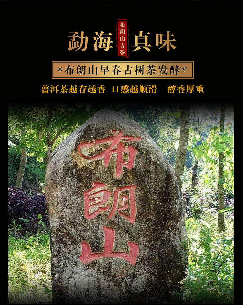 HelloYoung Xin Yi Hao Bulang Mountain 200 Years Old Tree Tuo Cha Pu-erh Tea 500g Ripe