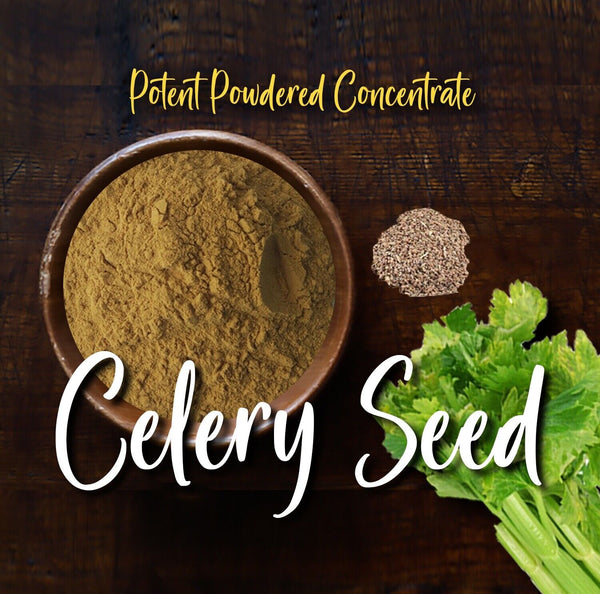 Premium Celery Seed Powder Pure Concentrate for smoothies tea  100% Pure