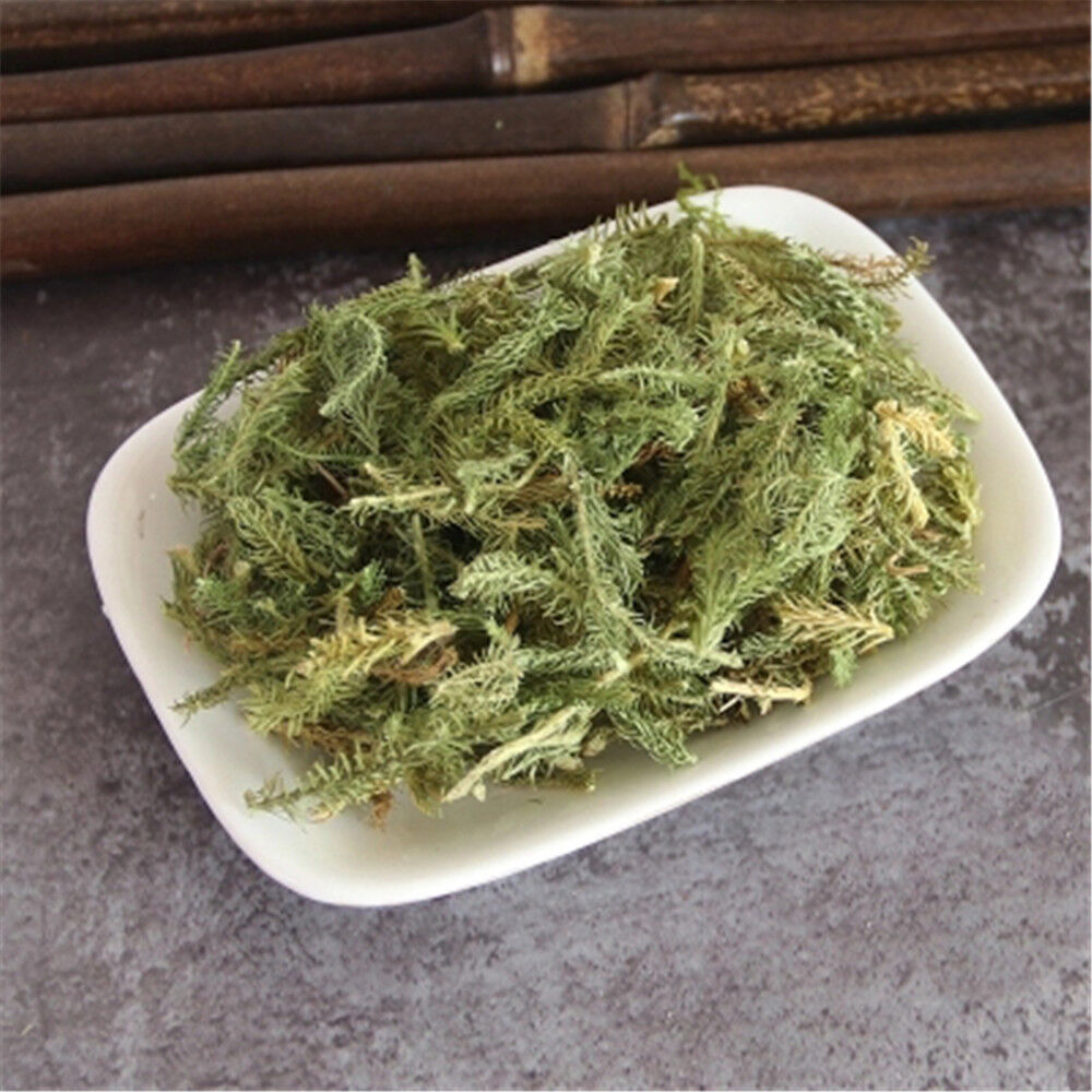 HelloYoung Chinese Herbs 100% Natural Shen Jin Cao Japanese Clubmoss Medicinal250g