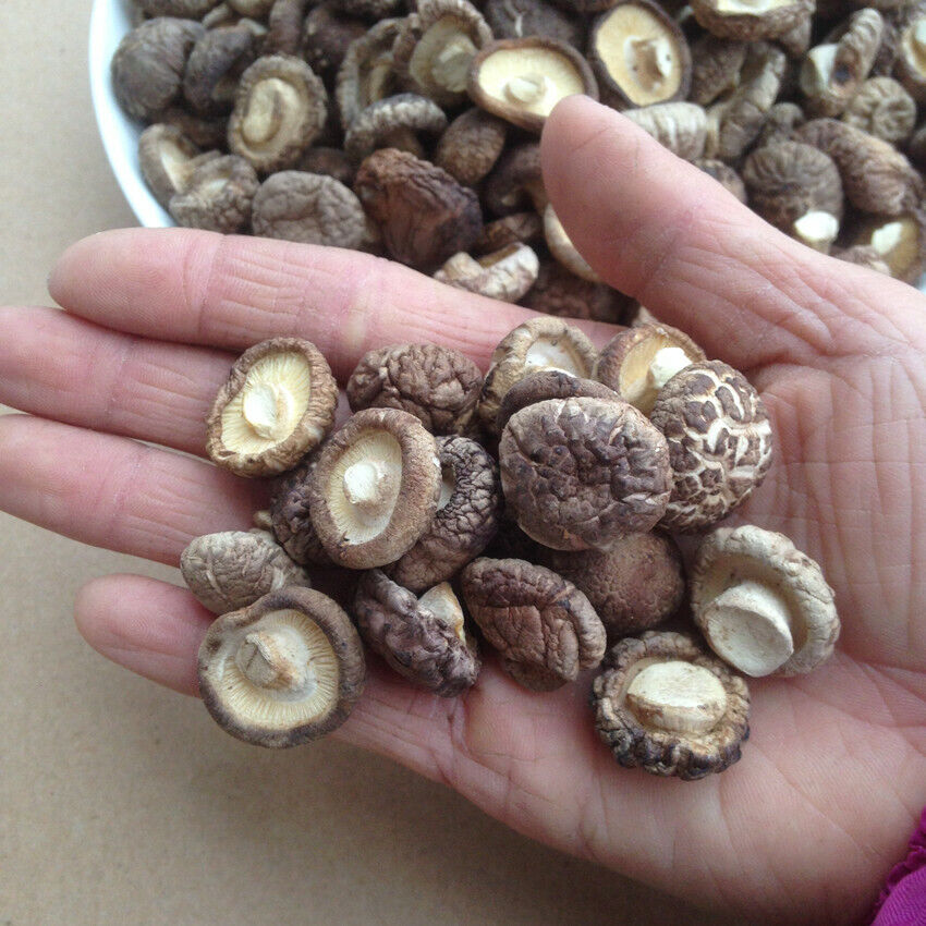 HelloYoung Dried Shiitake Mushrooms Wooden Organic Kitchen Health Green Food Natural Fungus