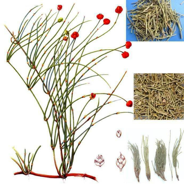 HelloYoung Raw Mo & Huang Herb Tea Herbal Green Tea Natural Mu & huang Tea