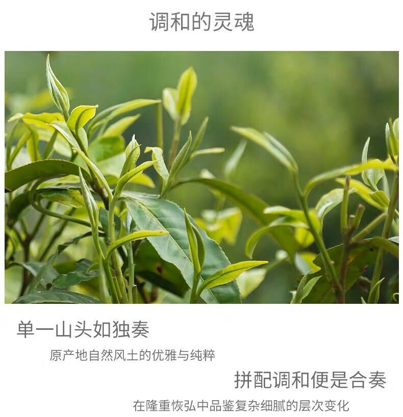 2018 Haiwan Ancient Tree Puer Tea Shu Black Pu Er Ripe Great Idea (Peng Tu) 400g