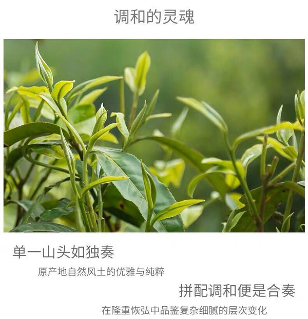 2018 Haiwan Ancient Tree Puer Tea Shu Black Pu Er Ripe Great Idea (Peng Tu) 400g