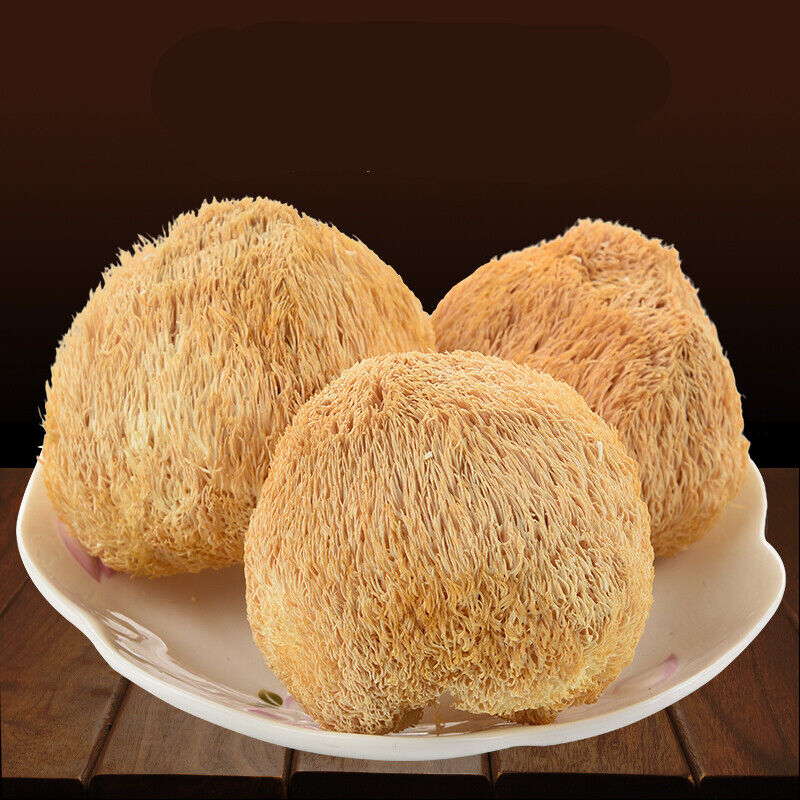 50g~500g Dried Lion's Mane Monkey Head Mushroom 猴頭菇 Herbs Health Stomach Food