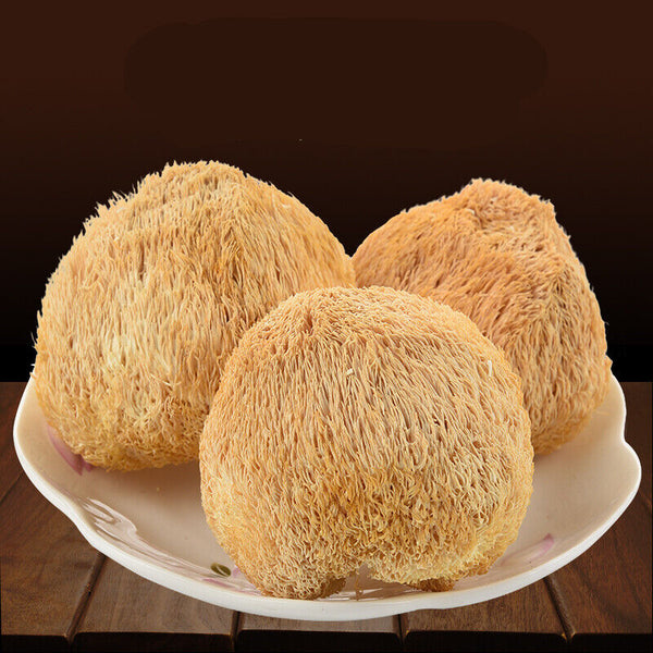 50g~500g Dried Lion's Mane Monkey Head Mushroom 猴頭菇 Herbs Health Stomach Food