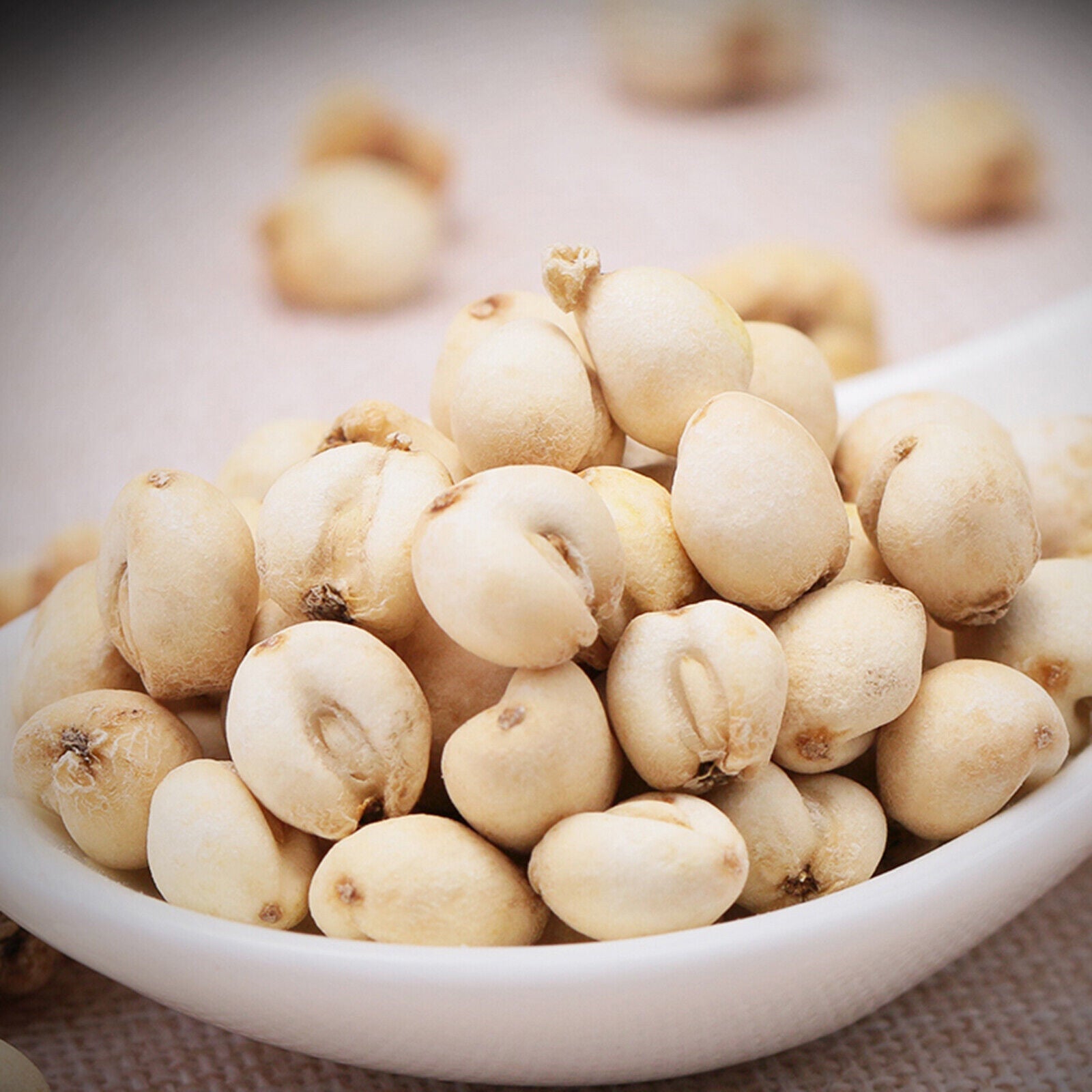 HelloYoung Chinese Specialty Chuan Bei Mu Health Herbal Tea 川贝 川贝炖雪梨 润肺化痰 50g