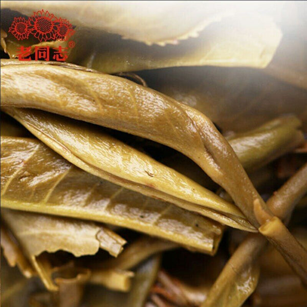 HelloYoung Haiwan Pa Sha Ancient Tree Raw Puer Tea Aged Tree Sheng Puerh Tea 500g