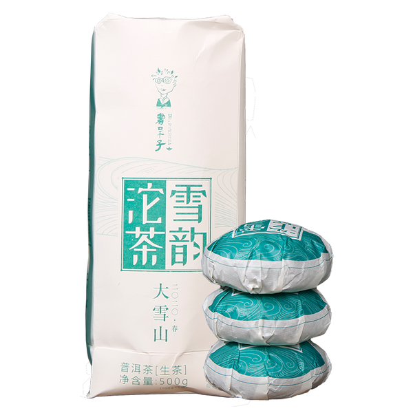 HelloYoung Lincang Big Snow Mountain * DR. PU'ER TEA Xueyun Tuocha Puer Raw Tea 500g