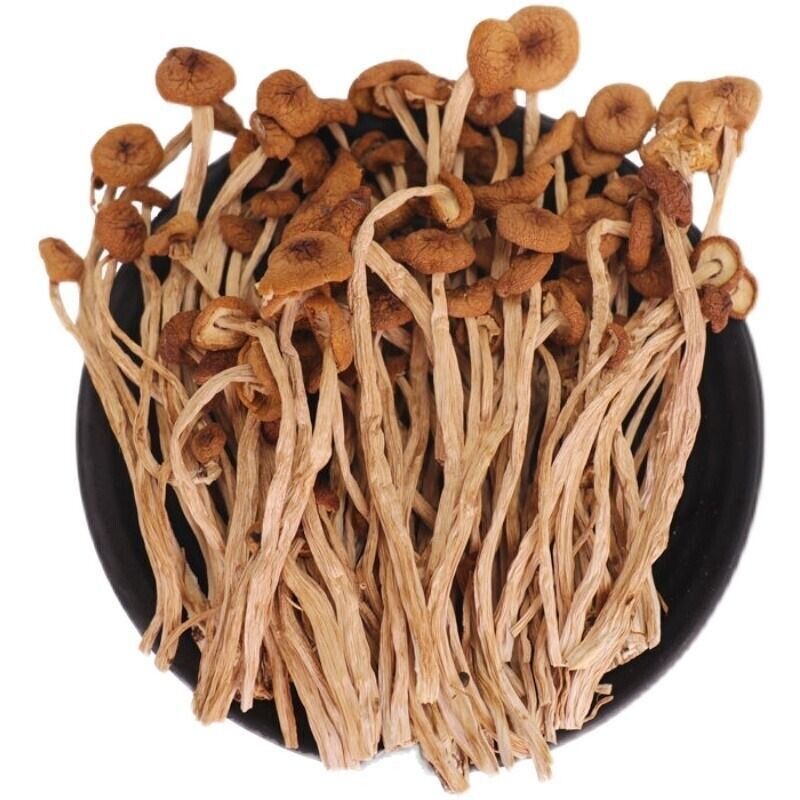 HelloYoung Natural Tea Tree Mushrooms agrocybe cylindracea Dried Mushrooms Kitchen Food 茶树菇 Secondary image