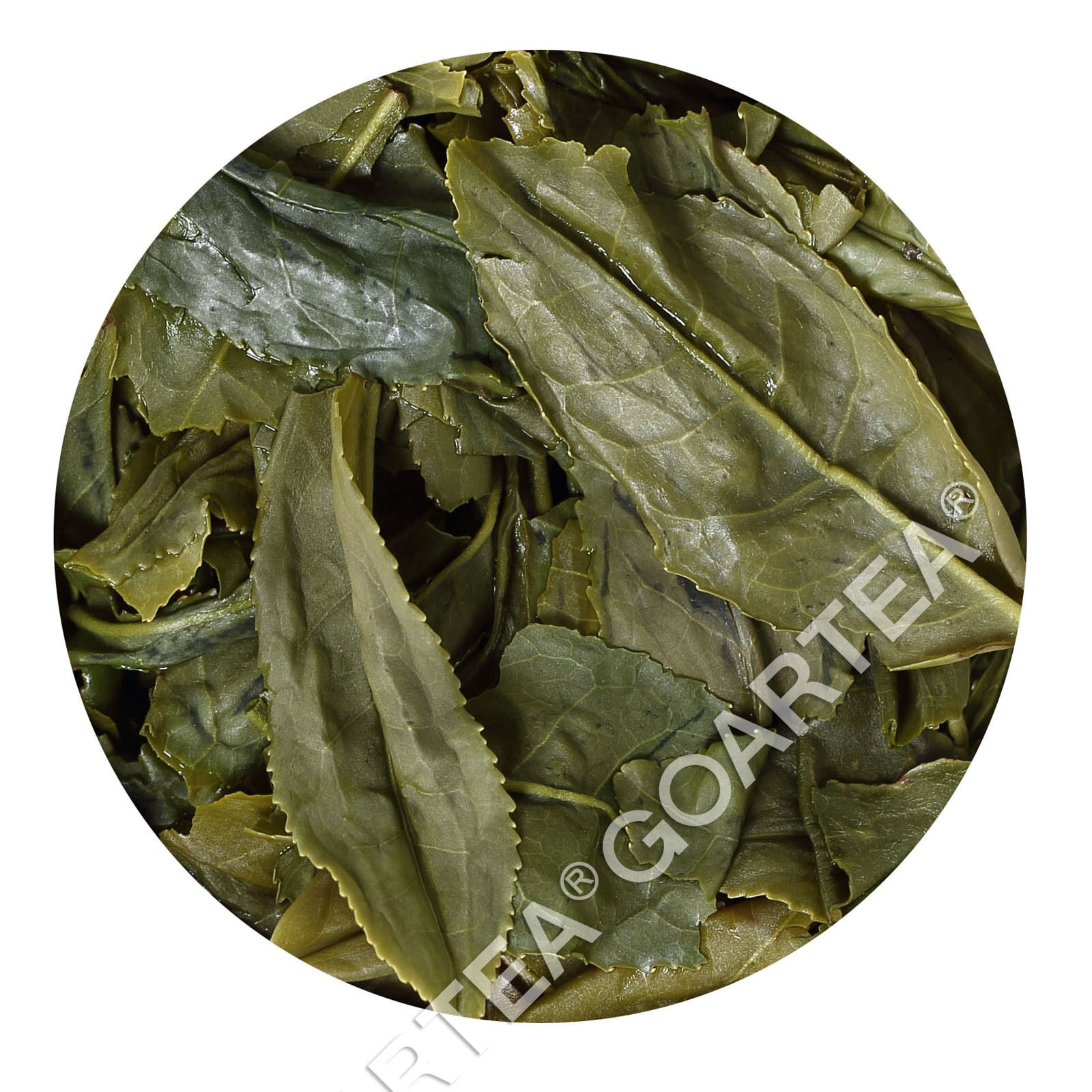 HelloYoung HELLOYOUNG 100g Supreme Melon Slice Liuan Guapian Spring Green Tea Chinese Loose