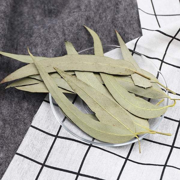 HelloYoung FullChea Dried Eucalyptus Leaves 114g Hojas de Eucalipto Herb Whole Leaf