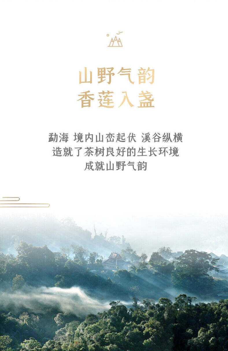 HelloYoung CHINATEA Brand Jin Hao Yu Lian Pu-erh Tea Cake 357g Ripe Palace Pu'er 357g