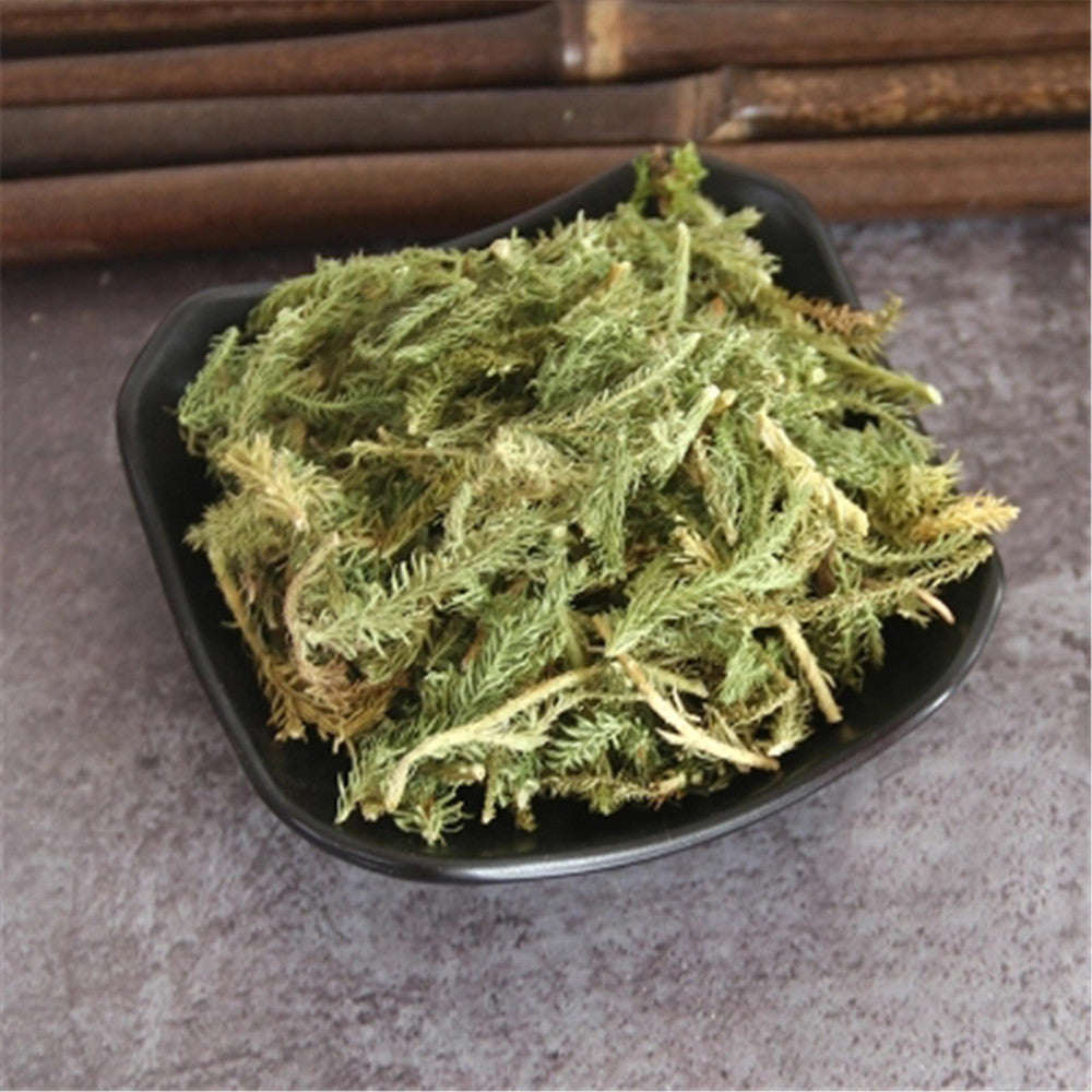 250g Japanese Clubmoss Medicinal Chinese Herbs 100% Natural Shen Jin Cao Secondary image