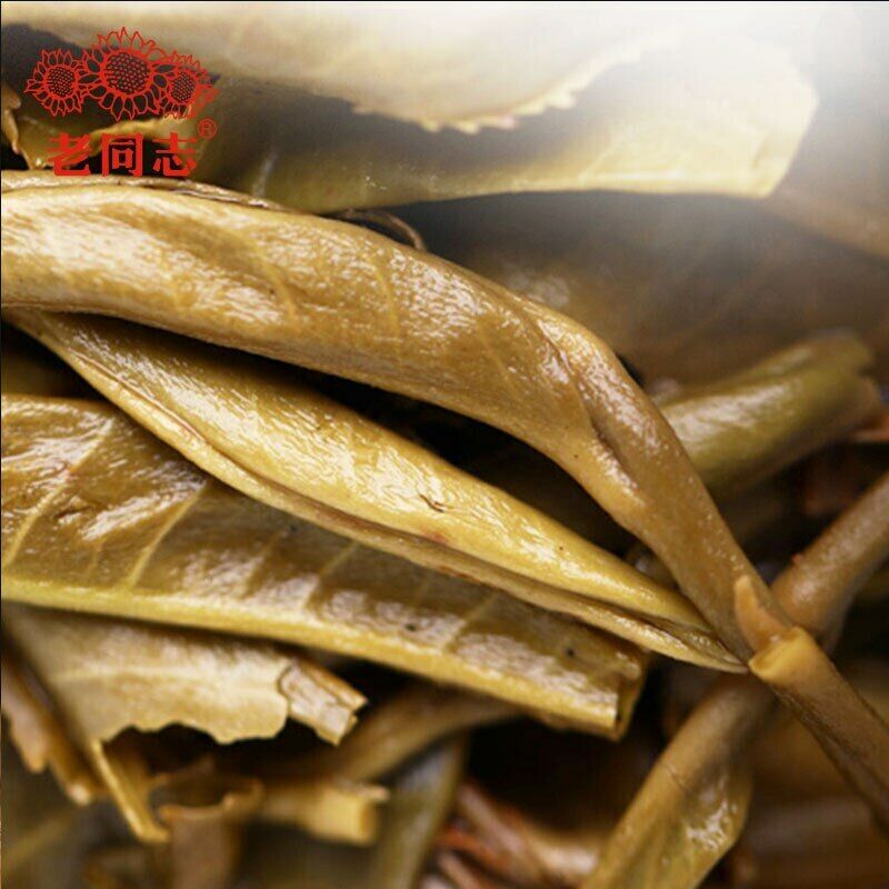 HelloYoung Haiwan Pa Sha Ancient Tree Cha Puer Tea Aged Tree Sheng Puerh Tea 500g