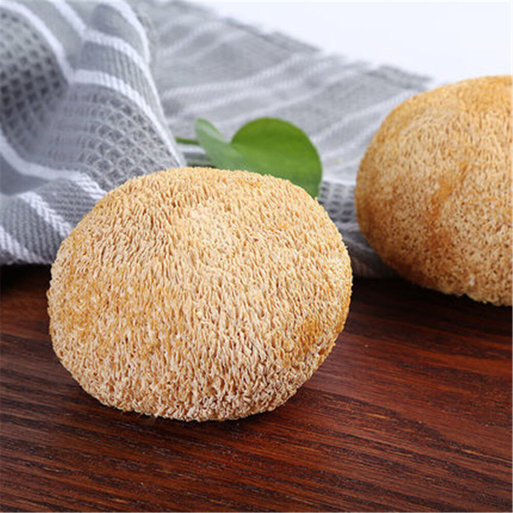 HelloYoung 100% Organic 500g Natural Dried Lion's Mane Mushroom Chinese Herbs Healthy Drink Main image