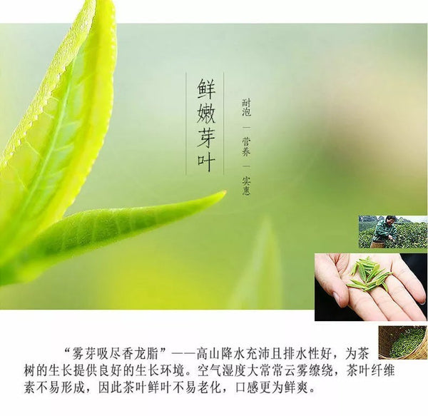 500g Premium Organic Bai Mu Dan White Peony White Tea Spring Tea Loose Leaf Tea 500克优质有机白牡丹白茶 春茶 散茶