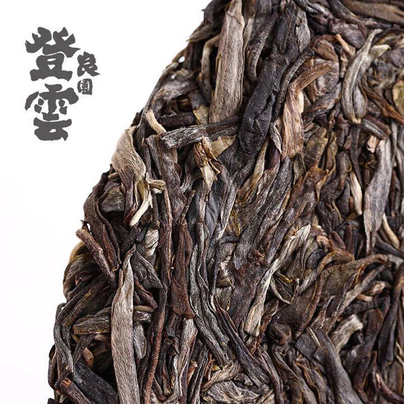 HelloYoung Haiwan Chinese Puer Tea Liang Yuan "Deng Yun" Old Tree Raw Puerh Pu'er 400g