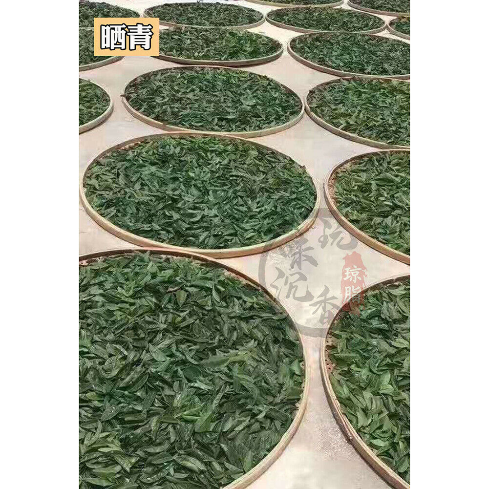 250g Qi Nan Chen Xiang Cha Qinan Chenxiangcha 250g奇楠沉香茶天然安神助眠茶