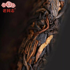 HelloYoung 2019 Haiwan Shu Puerh Chinese Tea 191 Remote Mountain Old Tree Ripe Puer 500g