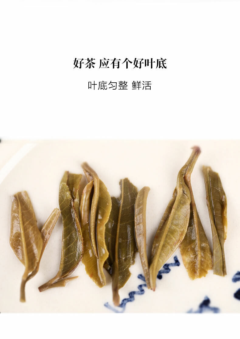 HelloYoung Haiwan Old Comrade Liang Pin Ling Qi Shen Puer Tea Old Raw Pu'er Cake