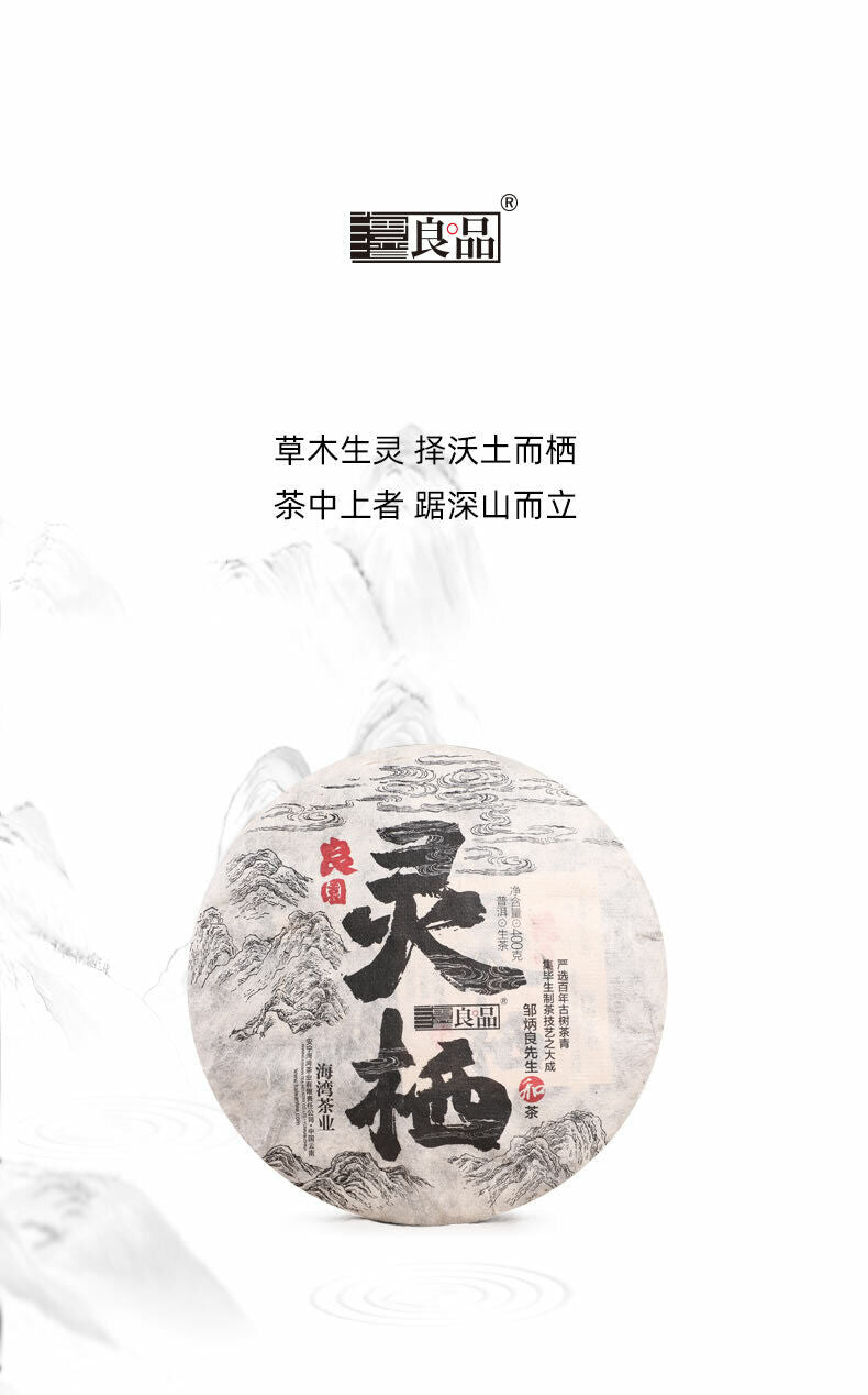 HelloYoung Haiwan Old Comrade Liang Pin Ling Qi Shen Puer Tea Old Raw Pu'er Cake