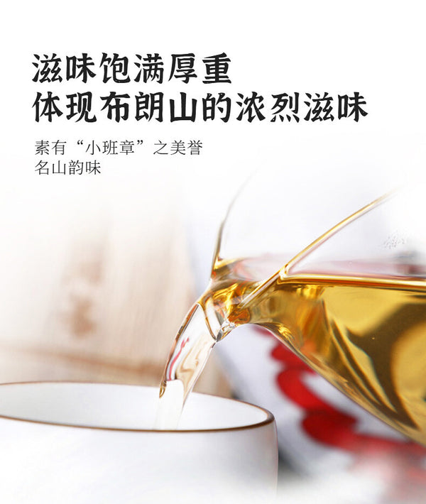 Mountain Aged Tree 500g 2021 Haiwan Zhang Jia San Dui Puer Raw Tea Bulang Famous